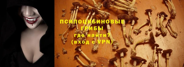 спиды Арсеньев