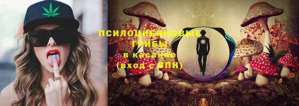 кокаин Белокуриха