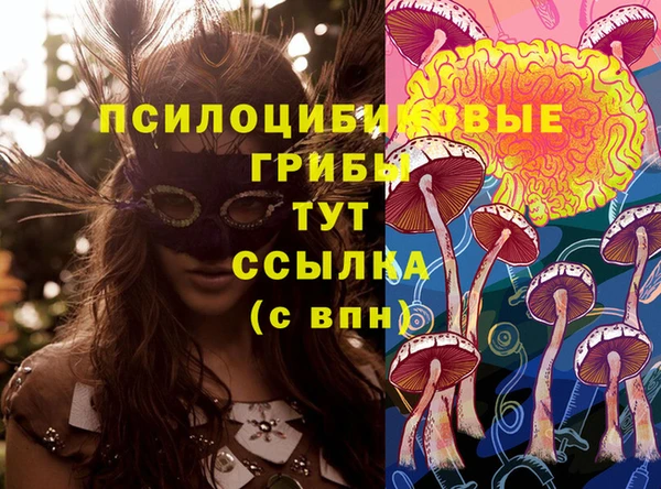 спиды Арсеньев