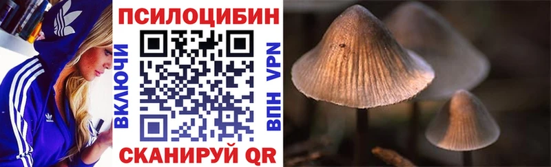 сколько стоит  Нижний Тагил  Галлюциногенные грибы прущие грибы 
